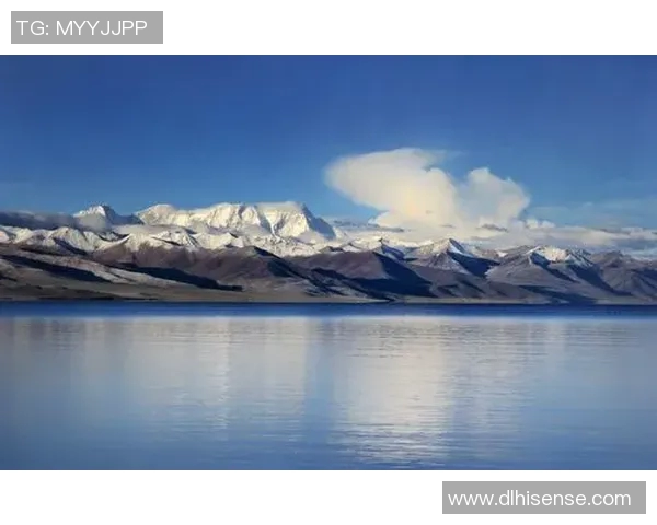 专访杨芳揭秘和平精英成功背后的策略与创新之路